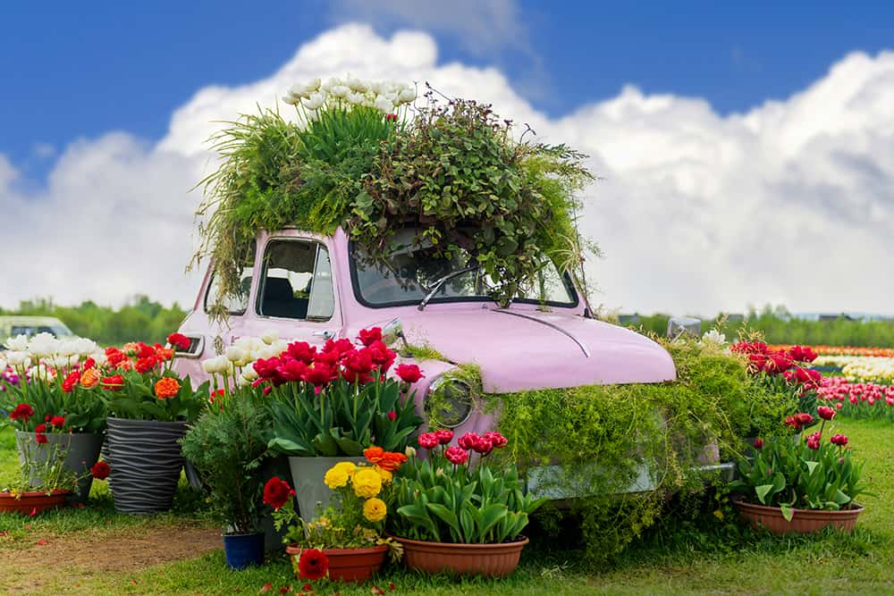 Spring is right around the corner, and here is what’s positive in the auto dealer industry: